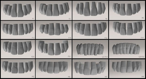 Anteriores 3D Tooth Library Package
